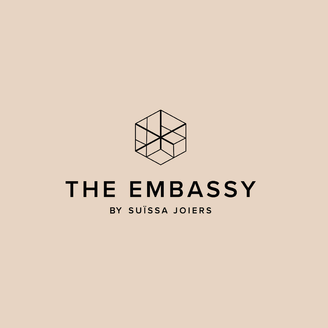 logo the embassy